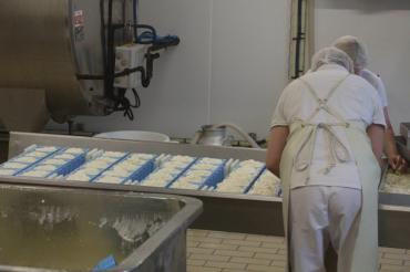 Fromagerie Maroilles 2