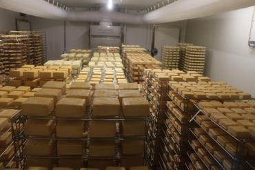 Fromagerie Maroilles 1
