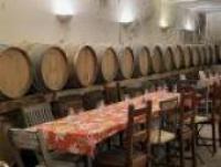 Vignoble 5